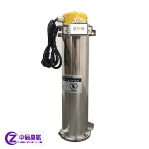 經(jīng)典款臭氧毀滅器、臭氧尾氣處理器
